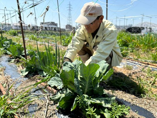 ７月14日(日)11時～農家さんのお野菜販売🍆　～大阪　寝屋川　お米屋さん　ネオニコフリー～